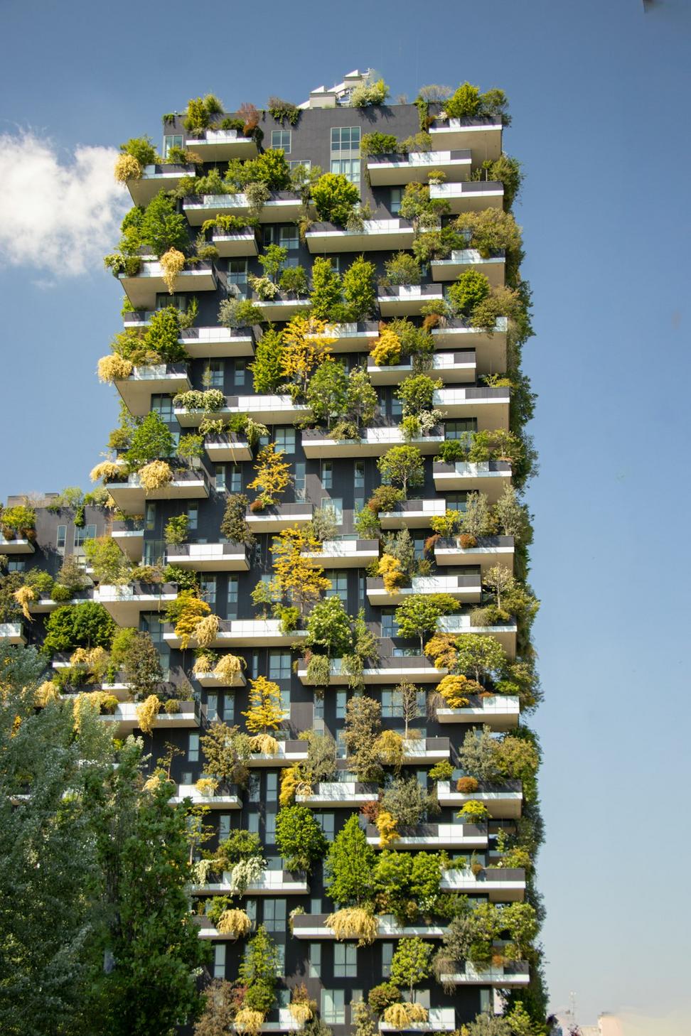 Cedar Lane Residences